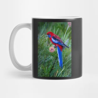 Crimson Rosella feeding on Grevillea flower Mug